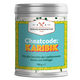 Cheatcode Karibik